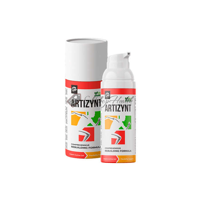 ArtiZynt